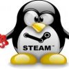 Steam  Linux    1000 