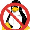 Microsoft:  ,  