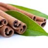    Cinnamon 2.6.9  Linux Mint 17.2 "Rafaela"