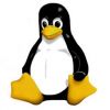  linux  25 !